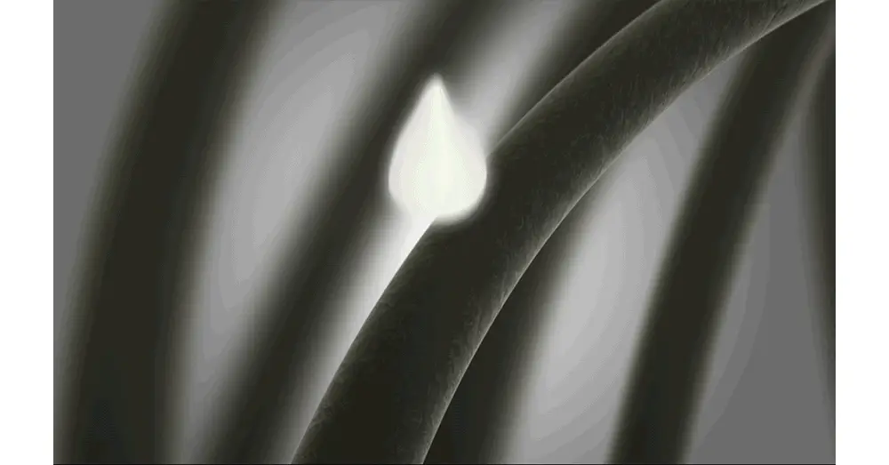 Thumbnail 13