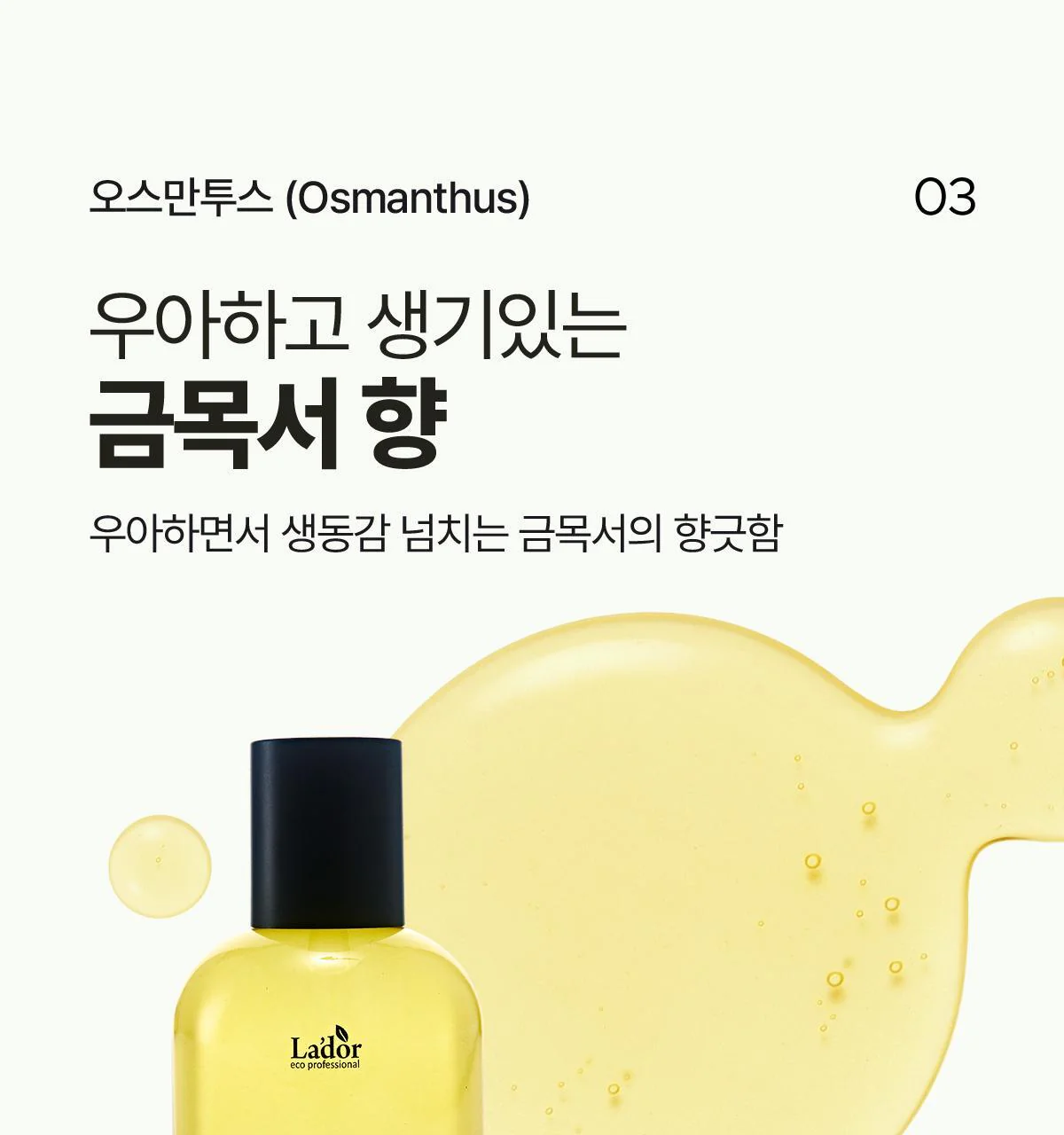 Thumbnail 27