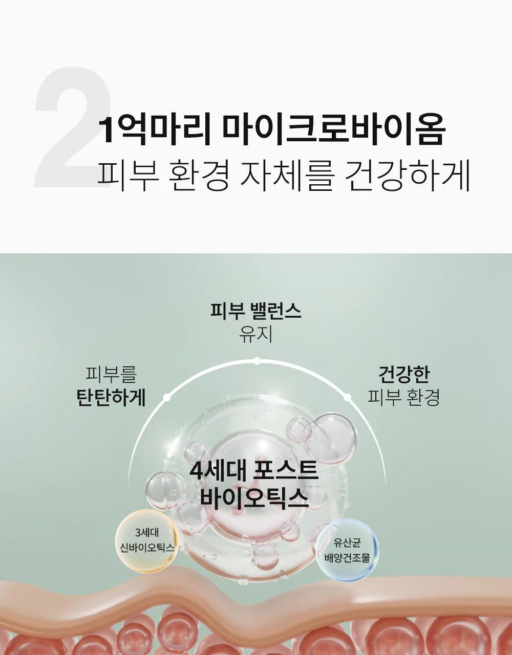 Thumbnail 22